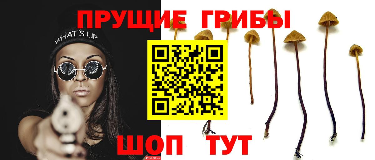 Ярославль  Галлюциногенные грибы MAGIC MUSHROOMS  Вход с VPN 